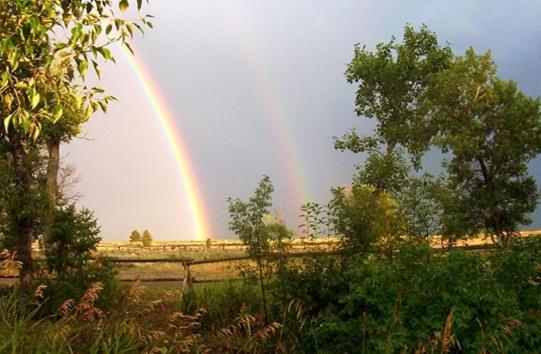 Готель Parade Rest Ranch Вест-Йеллоустоун Екстер'єр фото