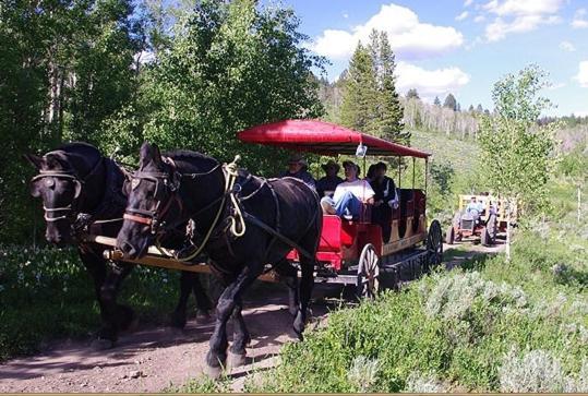 Готель Parade Rest Ranch Вест-Йеллоустоун Екстер'єр фото