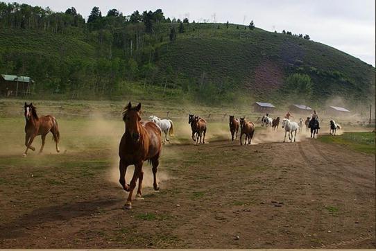 Готель Parade Rest Ranch Вест-Йеллоустоун Екстер'єр фото